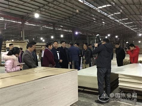钦州市委领导莅临昌宏木业总部视察指导-中国木业网