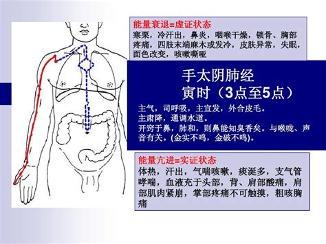 脾经络图及走向图图片