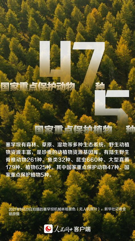 这背景特真！数读塞罕坝机械林场“绿色奇迹”-千龙网·中国首都网