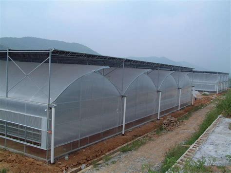 锯齿连栋大棚-江苏广和助农温室工程有限公司