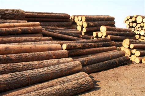 2021年中高端木材市场基调_木材之家