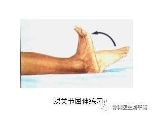 跖屈和背伸的图图片