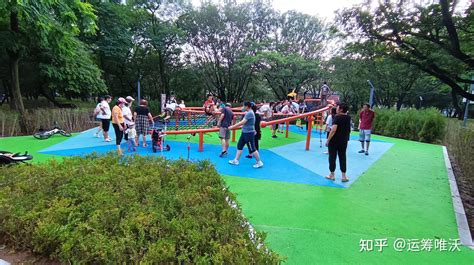 郑州人民公园“尬舞”因低俗被园方叫停_手机凤凰网