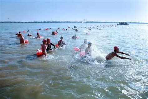 2020广东省青少年游泳锦标赛在肇庆落幕