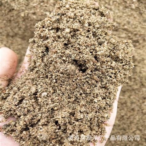 河沙粗砂|中砂|细砂 大型海世界用河沙 规格齐全-阿里巴巴