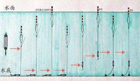 鱼漂调钓，必不可少的几点技巧！_钓鱼人必看