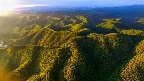 邕城林海浪千重 生态脊梁是此峰 - 信息快报 - 广西壮族自治区林业局网站
