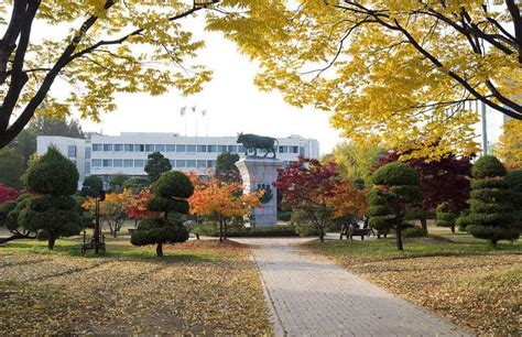 大家心中的韩国的建国大学是怎样的？_蔚蓝留学网