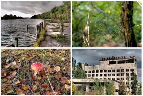 切尔诺贝利地区Pripyat游乐园高清图片下载-正版图片506098009-摄图网