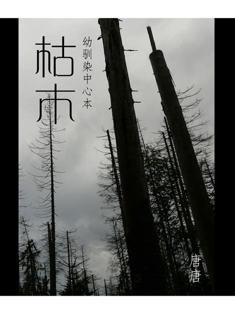 2021-4《收获》｜青年作家小说专辑：冻土观测段（董夏青青）
