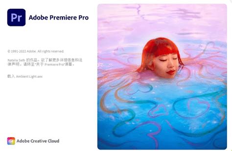 Adobe Premiere Pro速成到精通教程