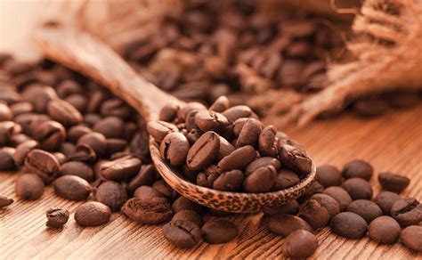 2018年全球咖啡市场及贸易概况——全球咖啡产量预计将创历史新高 - 咖啡金融网