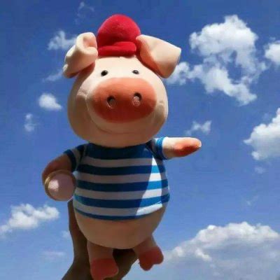 超萌可爱卡通猪头像2019最新 祝大家猪事顺利猪年大吉-腾牛个性网