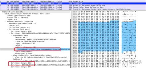 wireshark抓包分析SSL/TLS协议_wireshark分析ssl握手情况-CSDN博客