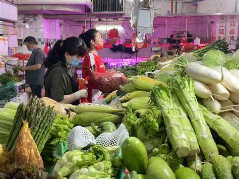 广州市蔬菜零售价格继续下降