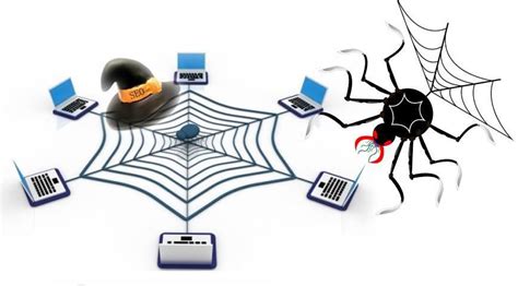 黑帽SEO蜘蛛池搭建泛目录快速排名技术 长尾关键词操作 - 知乎