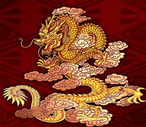 五爪龙图片