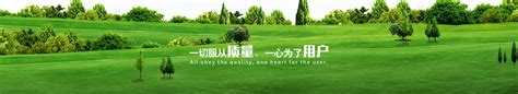 优环境 抓项目 强信心 开新局丨白山：合作对接迸发出项目活力-中国吉林网