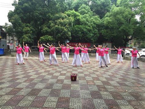 紫竹院广场舞《相逢是首歌》歌曲好听，舞步简单，适合大众的舞蹈