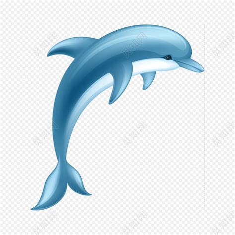 可爱卡通海洋生物海豚素材免费下载_觅知网
