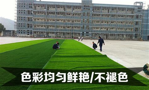 楼顶人造草坪价格-扬州市畅优草坪地毯有限公司