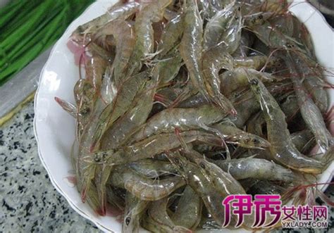【吃虾子不能吃什么】【图】盘点吃虾子后不能吃什么 教你吃的健康(3)_伊秀健康|yxlady.com