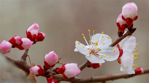 春天的词语片,春天的词语,描写春天的四字词语_大山谷图库