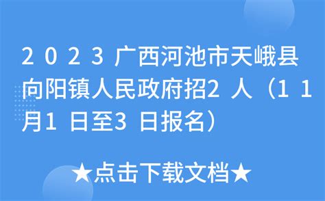 2023广西河池市天峨县向阳镇人民政府招2人（11月1日至3日报名）