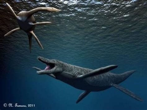 远古时期的龙王鲸和沧龙对决，谁才是真正的海洋霸主？
