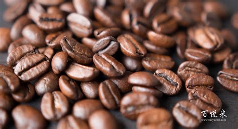 新手必看 咖啡豆如何选？咖啡豆种类产地介绍咖啡豆烘焙大揭秘 - 知乎