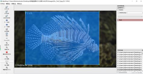 YOLOV5训练鱼类数据集过程_鱼数据集-CSDN博客