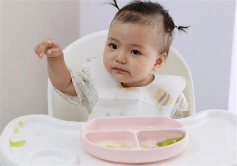婴儿饮食时间表（4）-幼儿百科-魔术铺