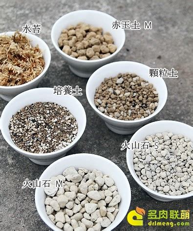 中国15种主要土壤类型和具体分布地区_种植