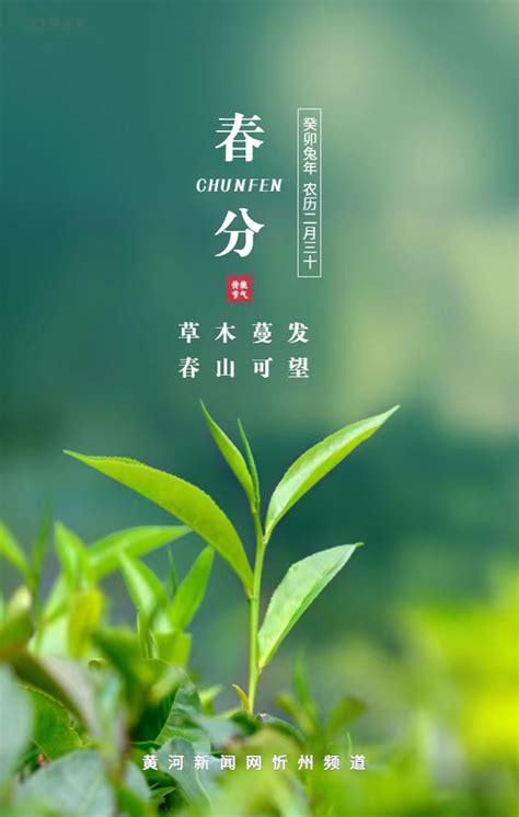 一帧中国丨草木蔓发，春山可望（2023年3月2日）_四川在线