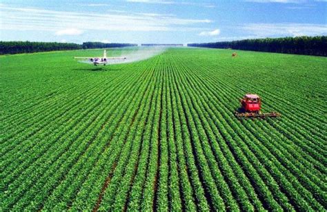 深圳宣布：发展现代农业总部经济