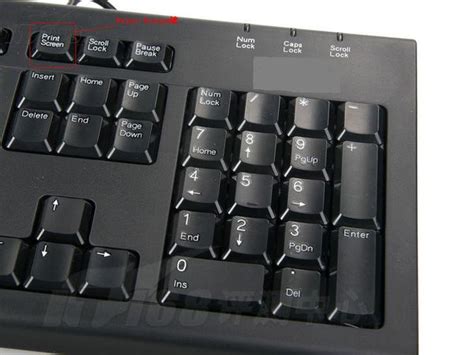 台式电脑的键盘忽然打不出字了是哪里的故障?-ZOL问答