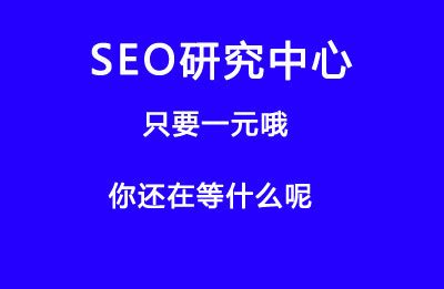 排名SEO技术（怎么做seo搜索排名）-8848SEO