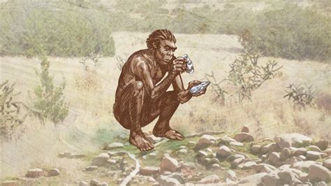 原始人进化史,我的,解说_大山谷图库