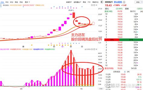 天邦食品2022年7月份商品猪销售简报，销售收入8.16亿元！-河北畜牧网|畜牧业信息分享平台