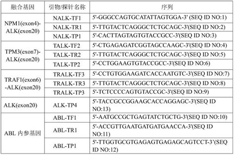 P53基因探针-DNA FISH-RNA FISH-原位杂交-IVD-空间组-新一代病理技术-FISH-鲲羽生物科技有限公司