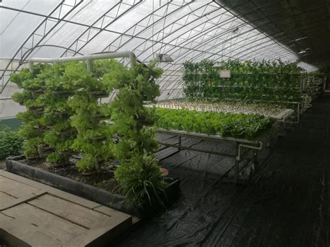 蔬菜温室大棚-无土栽培-现代化智能农业大棚建设-青州市亿诚农业科技有限公司