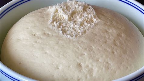 超详细的酵母发酵过程，如何把握酵母粉的量，堪比老面发酵的味道 - 知乎
