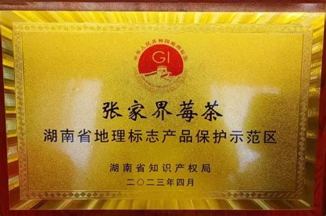 永定区获批“张家界莓茶”湖南省地理标志产品保护示范区 - 张家界 - 新湖南