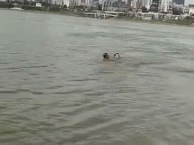 野泳危险！株洲男子差点溺水湘江，被救起后说……