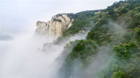 麻城龟峰山景区官方网站——中华长寿山，世界杜鹃园 龟峰山