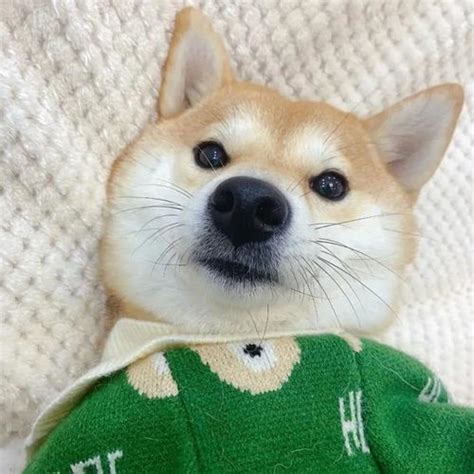 非主流头像二狗子
