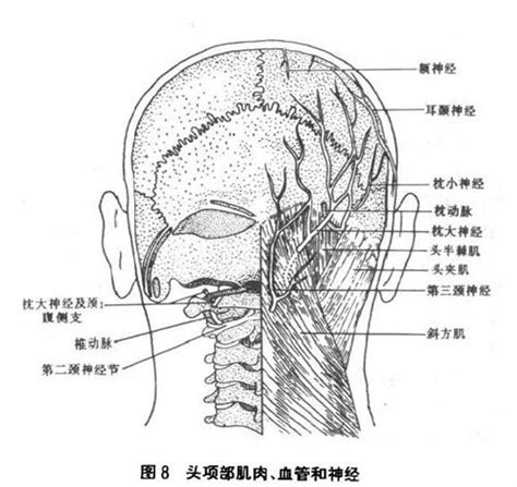 枕大池位置图片