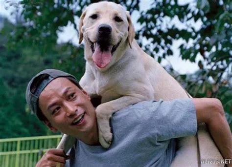 爱狗人士的福利：有关狗狗的治愈电影，这几部你看过吗 - 知乎