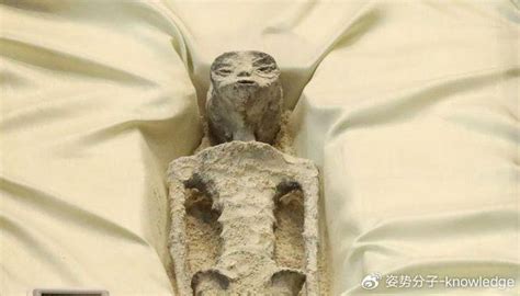 墨西哥国会展出两具“外星人尸体”，据称已有1000年历史_凤凰网