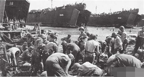 瓜岛之战，岛上的日本陆军都啃树根了，海军为什么不管不顾？_凤凰网历史_凤凰网